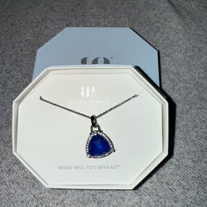 Stunning Blue Pendant Necklace with Silver Chain
